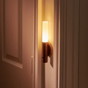 Rechargeable Wall Light
