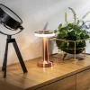 cordless metal desk lamp